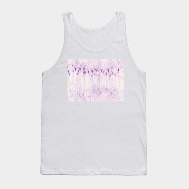 Pyramidal neurons in the cerebral cortex, illustration (F023/0916) Tank Top by SciencePhoto